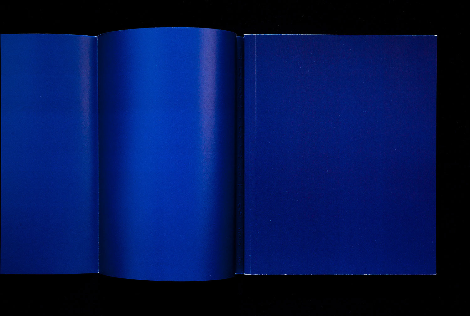 賜物 横田大輔 他 ABSTRACTS AM projects abamedyc.com